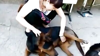 Chinese masturbate dog