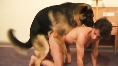 Animal Addict