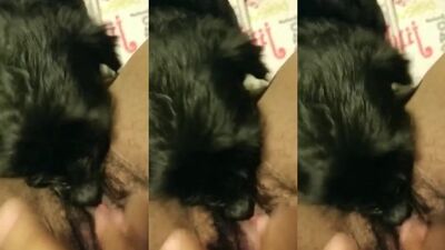 little dog sucking his owner