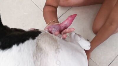 A cleaning day with the dog