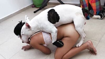 A cleaning day with the dog