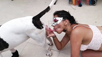 A cleaning day with the dog