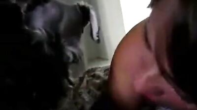 Sucking your dog