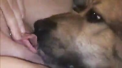Un chocho gordo