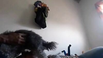 Leche de mi perro