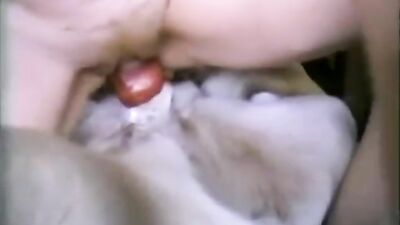 He wants to fuck
