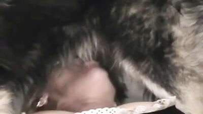 The dog also wants to fuck
