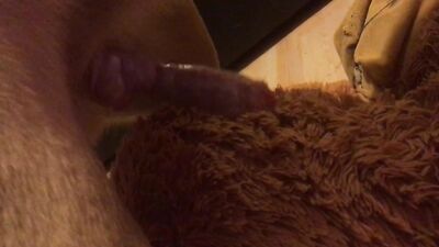 The dog cums on his toy