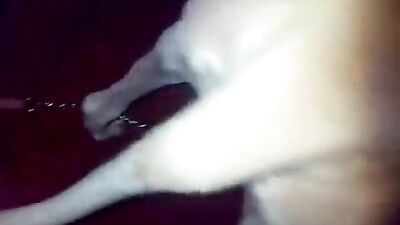 The dogs chicken
