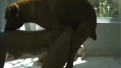 SlowMotion cum all over the body