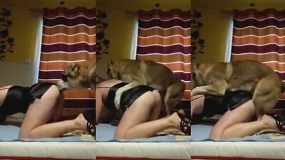 Ama de casa follada