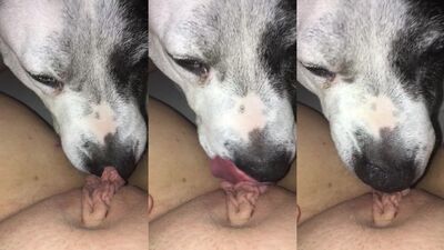 The best pussy licking