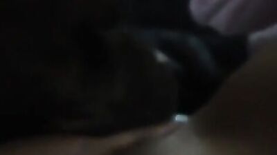 My dog lick my pussy before go to sleep