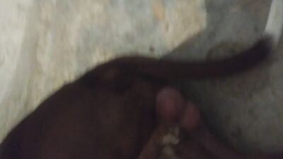 My wife love this cock