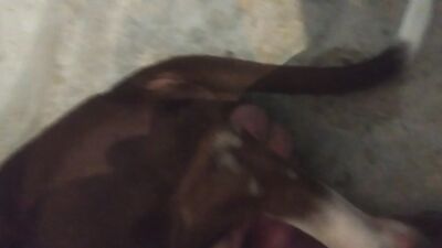 My wife love this cock