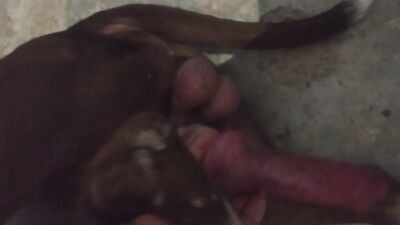 My wife love this cock