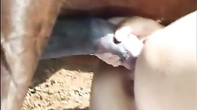 Horse cock inside my pussy