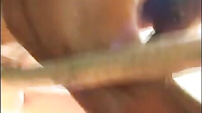 Horse cock inside my pussy