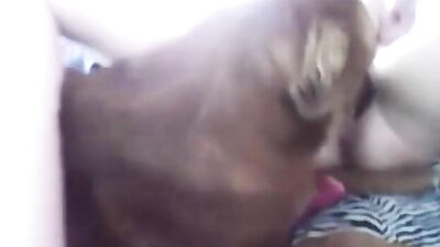 Dog play with my pussy