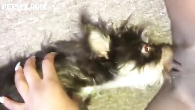 My lovely puppy