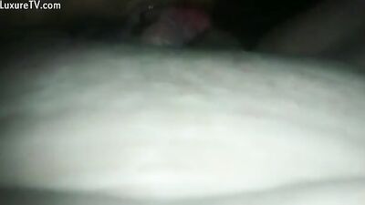 I record myself while I fuck with my dog
