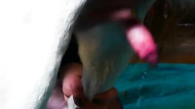 Jerking and blowing a lucky dog