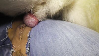 Wife ready with her jeans to fuck
