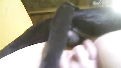 Bestiality sex record