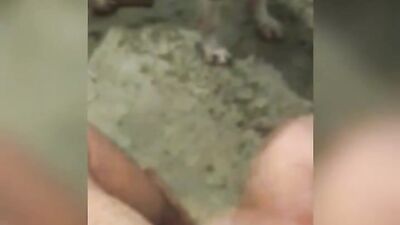 Jerking with dog