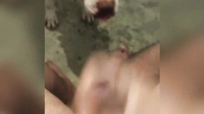 Jerking with dog