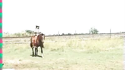 Cathys Horse