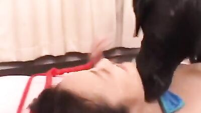 Knots & Cumshots: Tied Dog Sex Fiesta