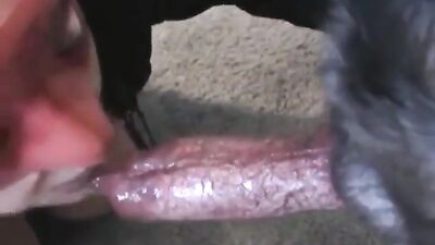 Doggy dick sucking