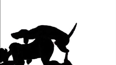how is to fuck a dog