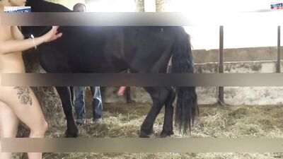 Team Russia Teen try horse sex
