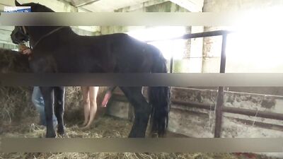 Team Russia Teen try horse sex