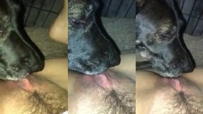More lick pussy