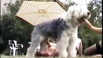 Bestiality in the garden