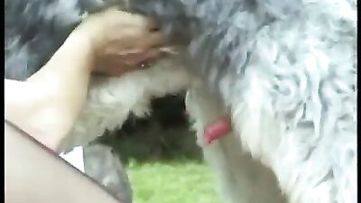 Bestiality in the garden