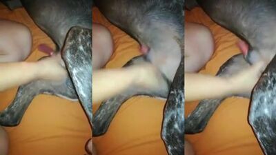 Big boobs girl blowjob dog