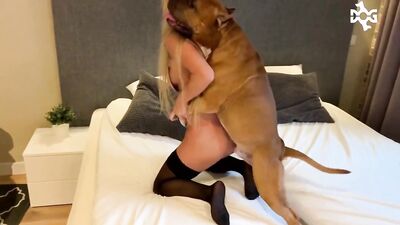 KNOTTED BY DOG