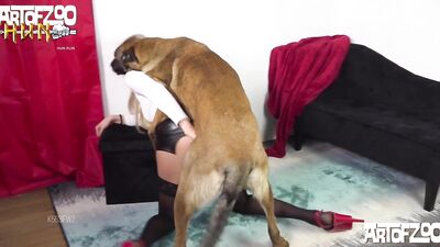DOG PORN TRAINING