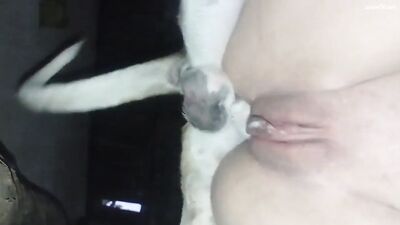 I really want to be filled by the doggie
