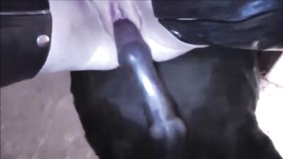To the bottom