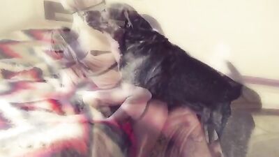 Sonya is alone in the room with the dog