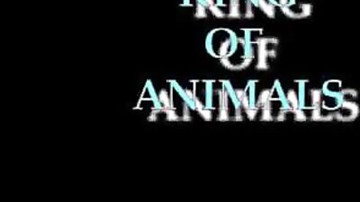 King of animal movie