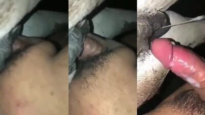 Dog creamy pussy