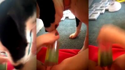Pleasure with the bottle and the dog
