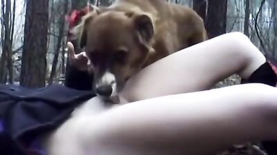 Peanut Butter and dog
