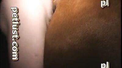 Petlust sex with horse